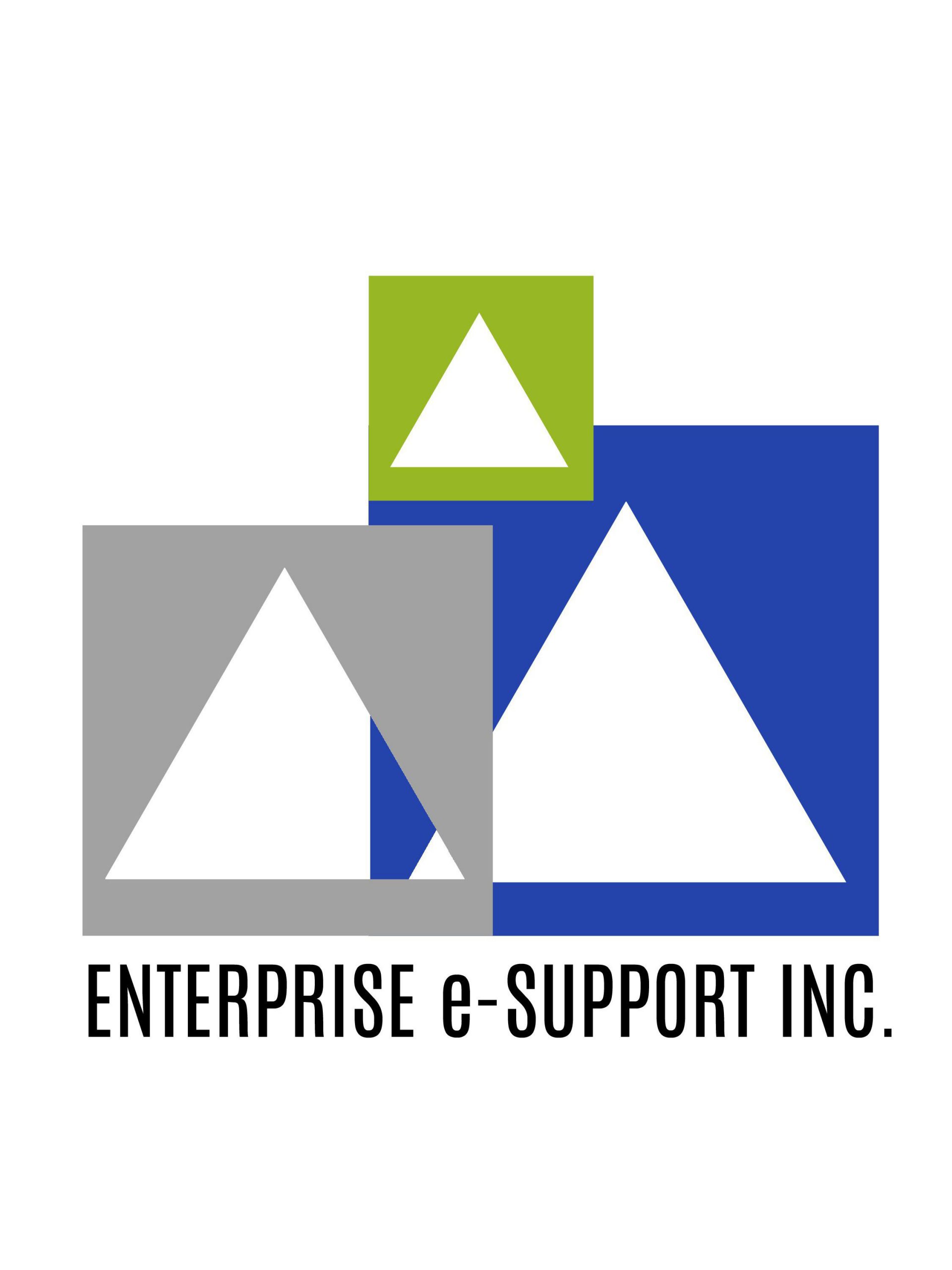 Enterprise e-Support, Inc.